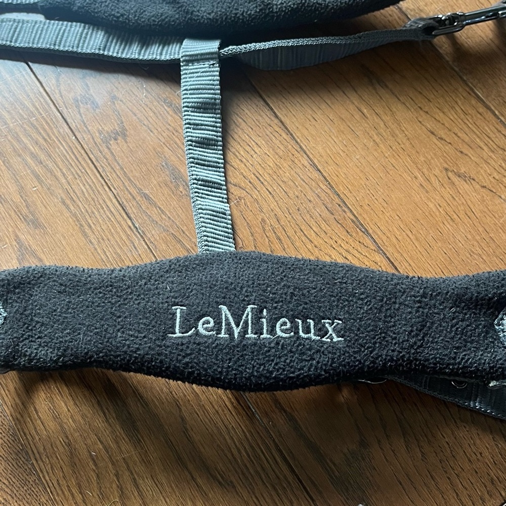 Lemieux halter